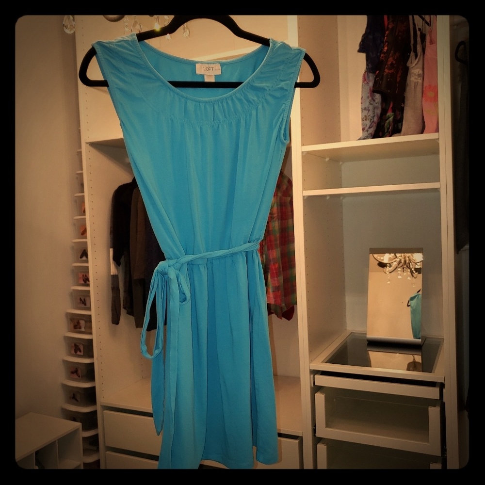 Blue Loft Petite Dress